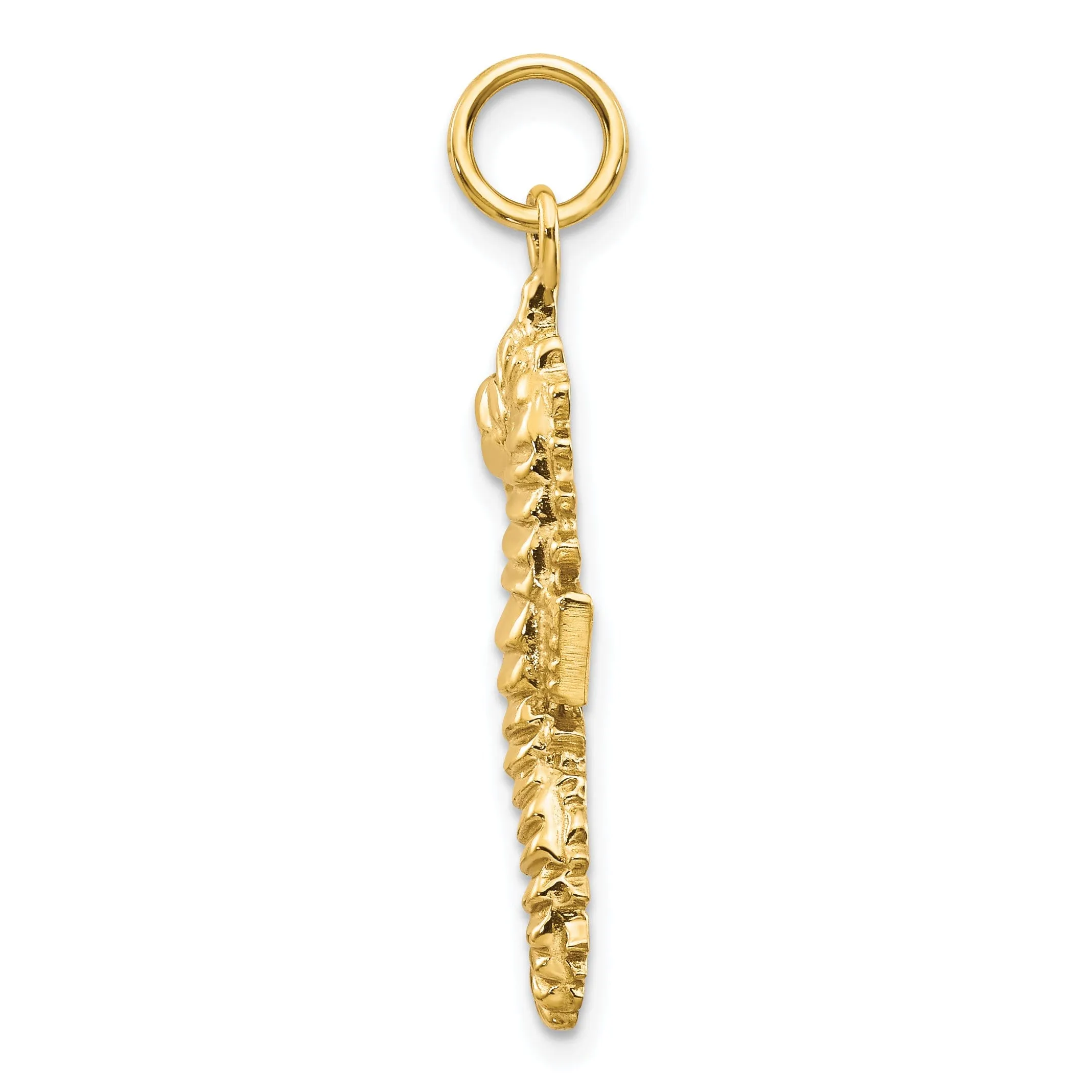 14k Yellow Gold Solid Polished Texture Finish Men's Seahorse Charm Pendant