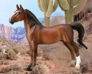 American Saddlebred Stallion