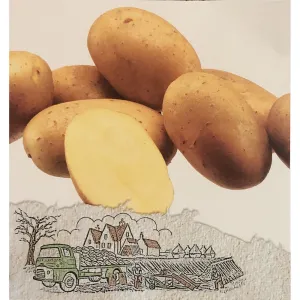 Athlete Seed Potatoes 2kg