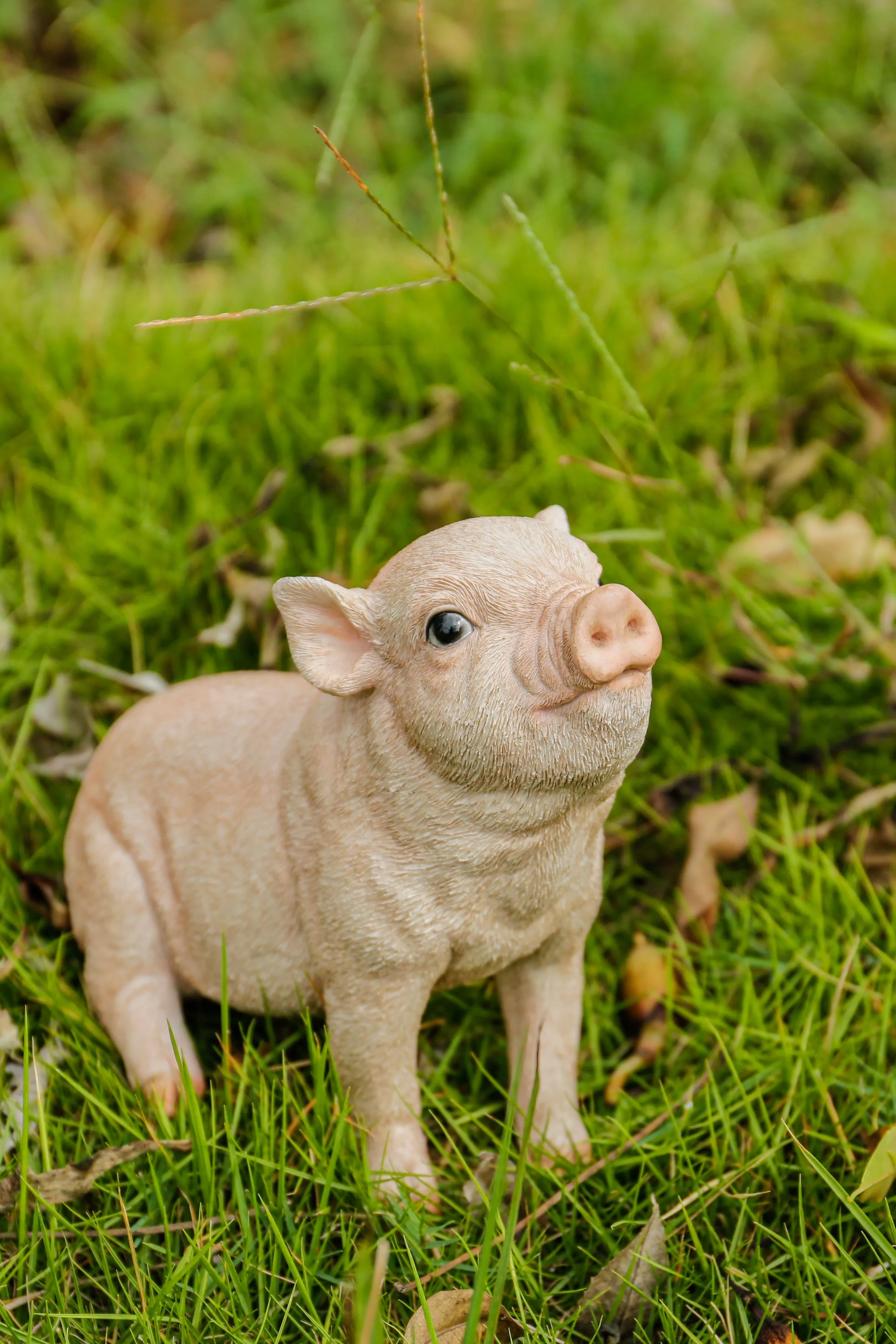 Baby Pig Sitting - Pink