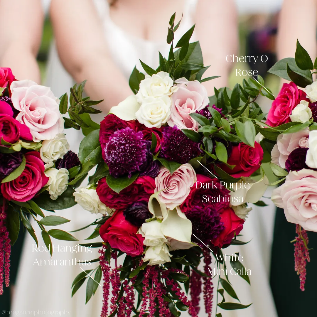 Burgundy Hanging Amaranthus