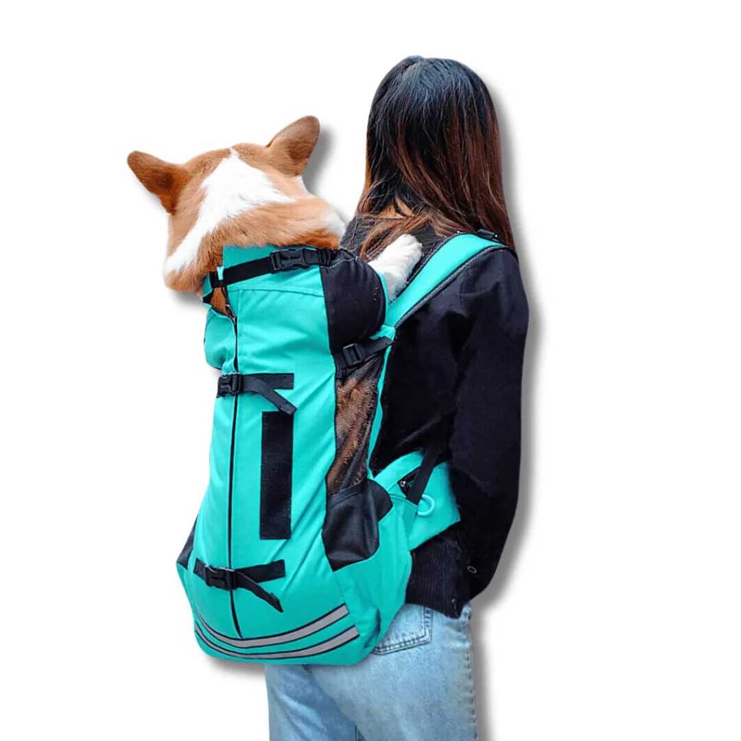 Companion Hiking Dog Backpack