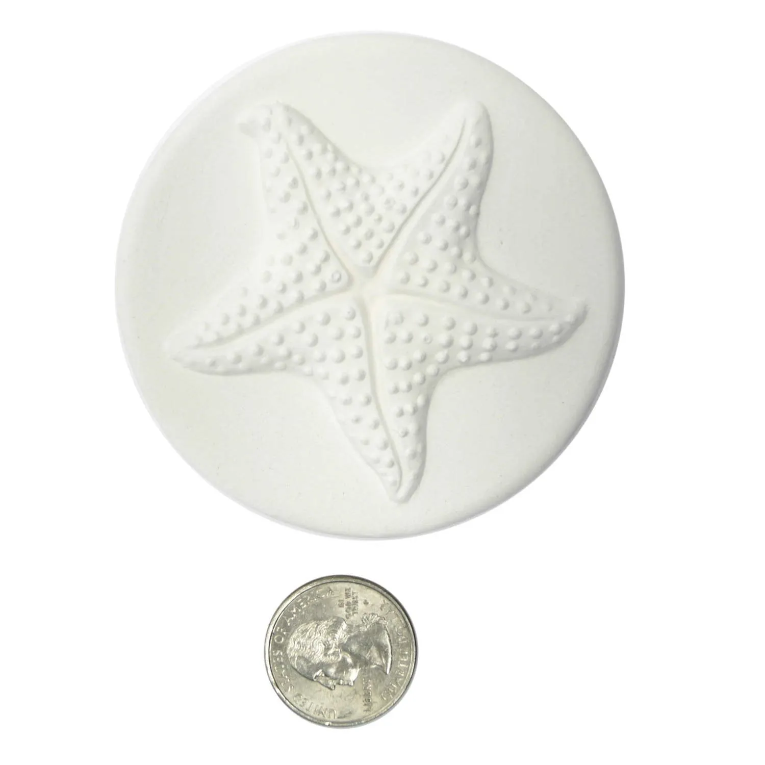 Delphi Studio Starfish Impression Mold Tile