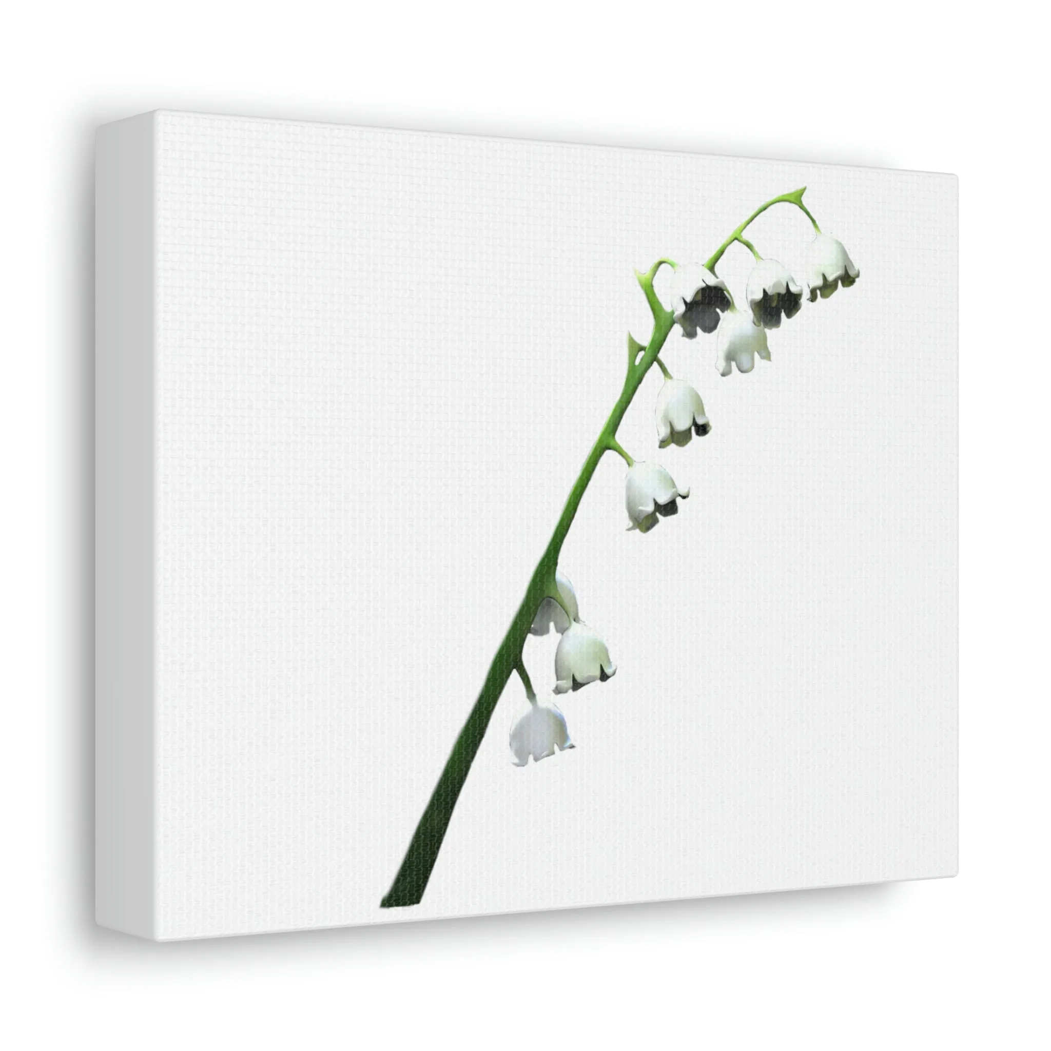 Lilly Stretched Canvas