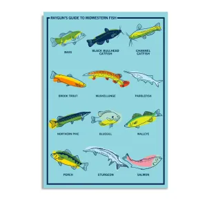 Midwestern Fish Postcard