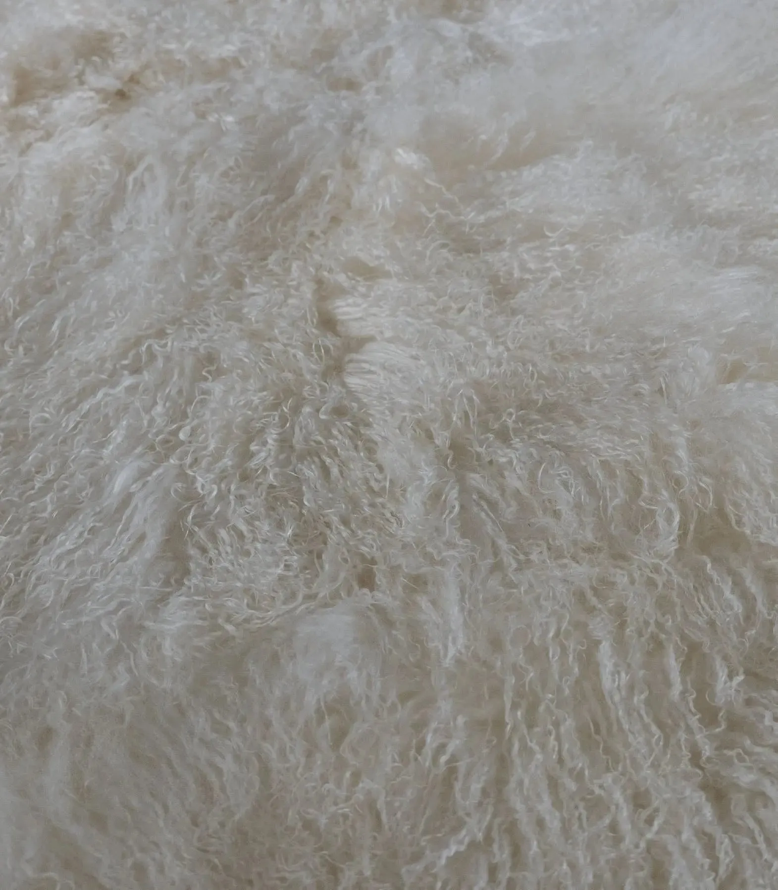 Mongolian Sheep Fur