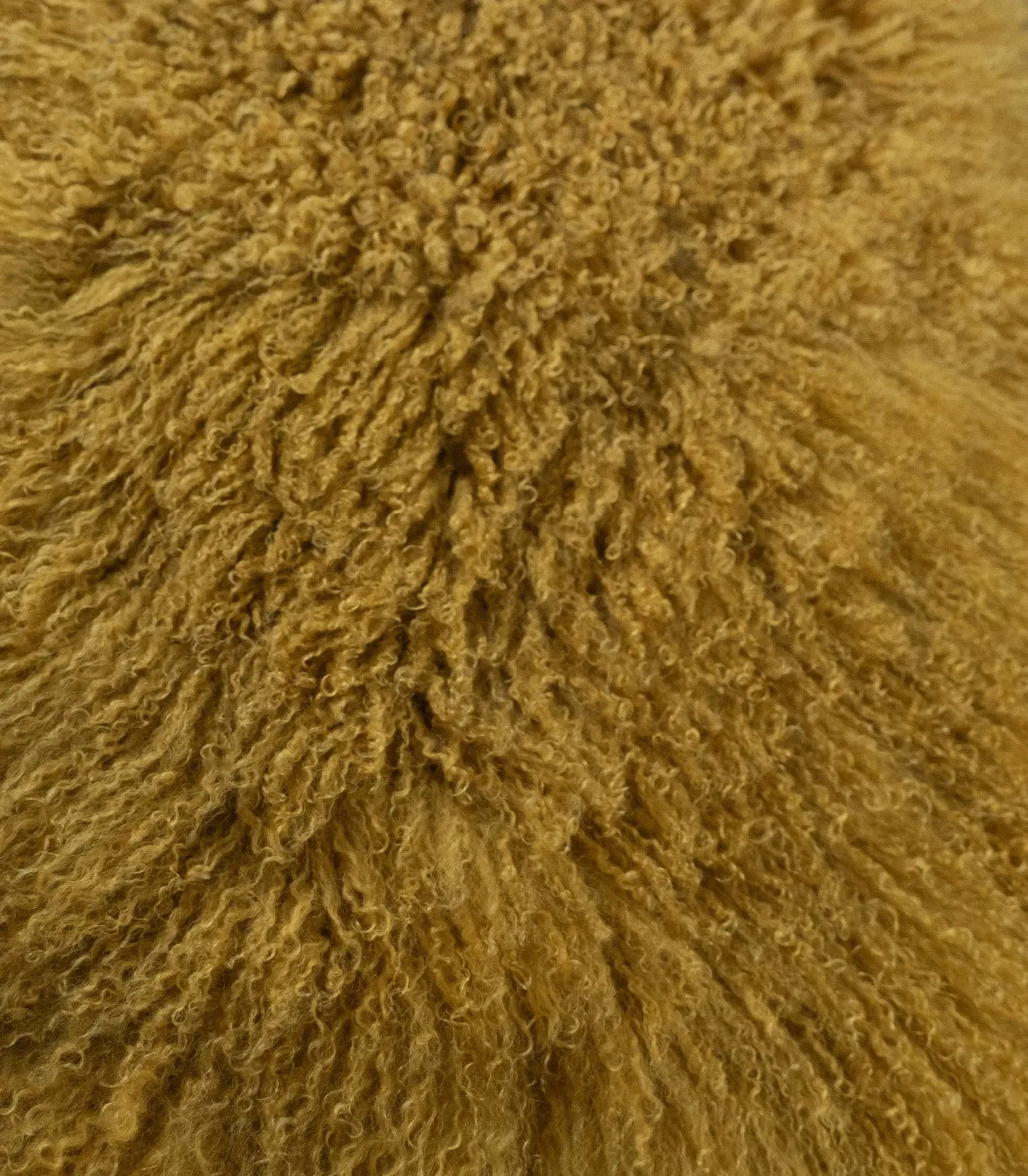 Mongolian Sheep Fur