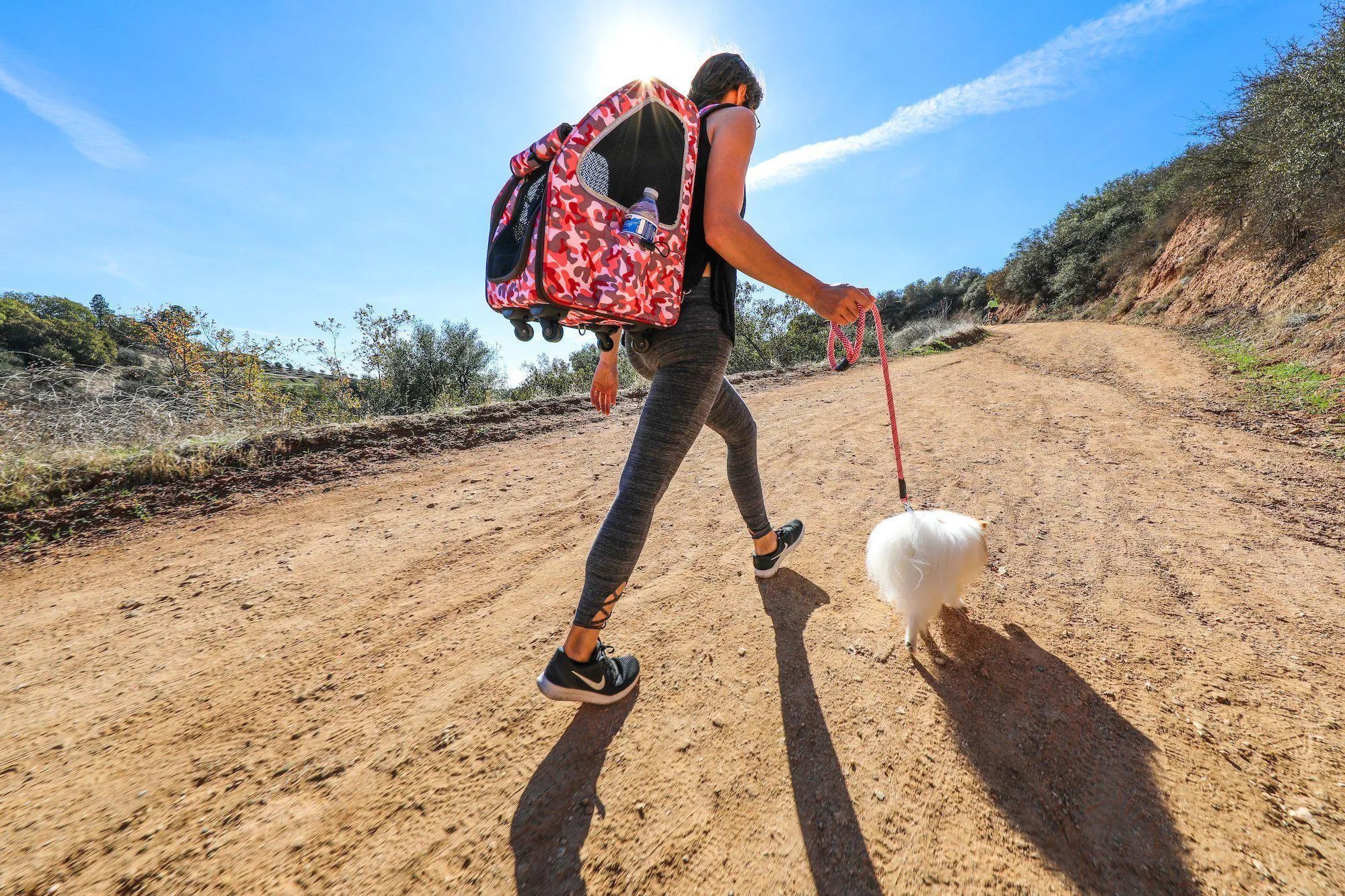 Petique 5-in-1 Pet Carrier (Pet Carrier Only)